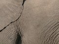 402 400 P1130744_cr